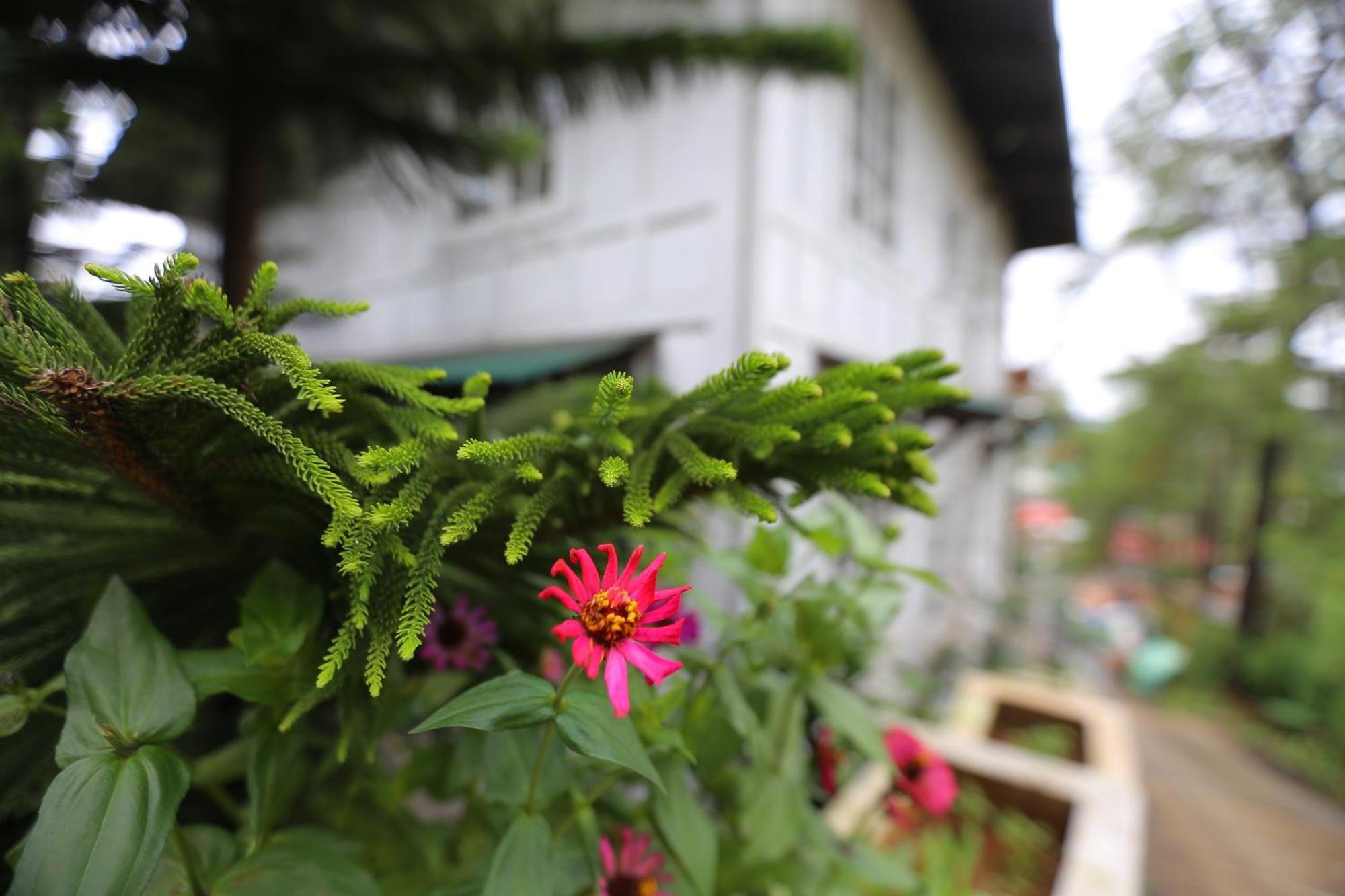 Casa Vallejo Hotel Baguio Baguio City Екстер'єр фото